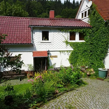 Ferienwohnung Bauer Alter Hammer Schmiedefeld am Rennsteig Exterior foto