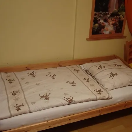 Ferienwohnung Bauer Alter Hammer Schmiedefeld am Rennsteig Exterior foto